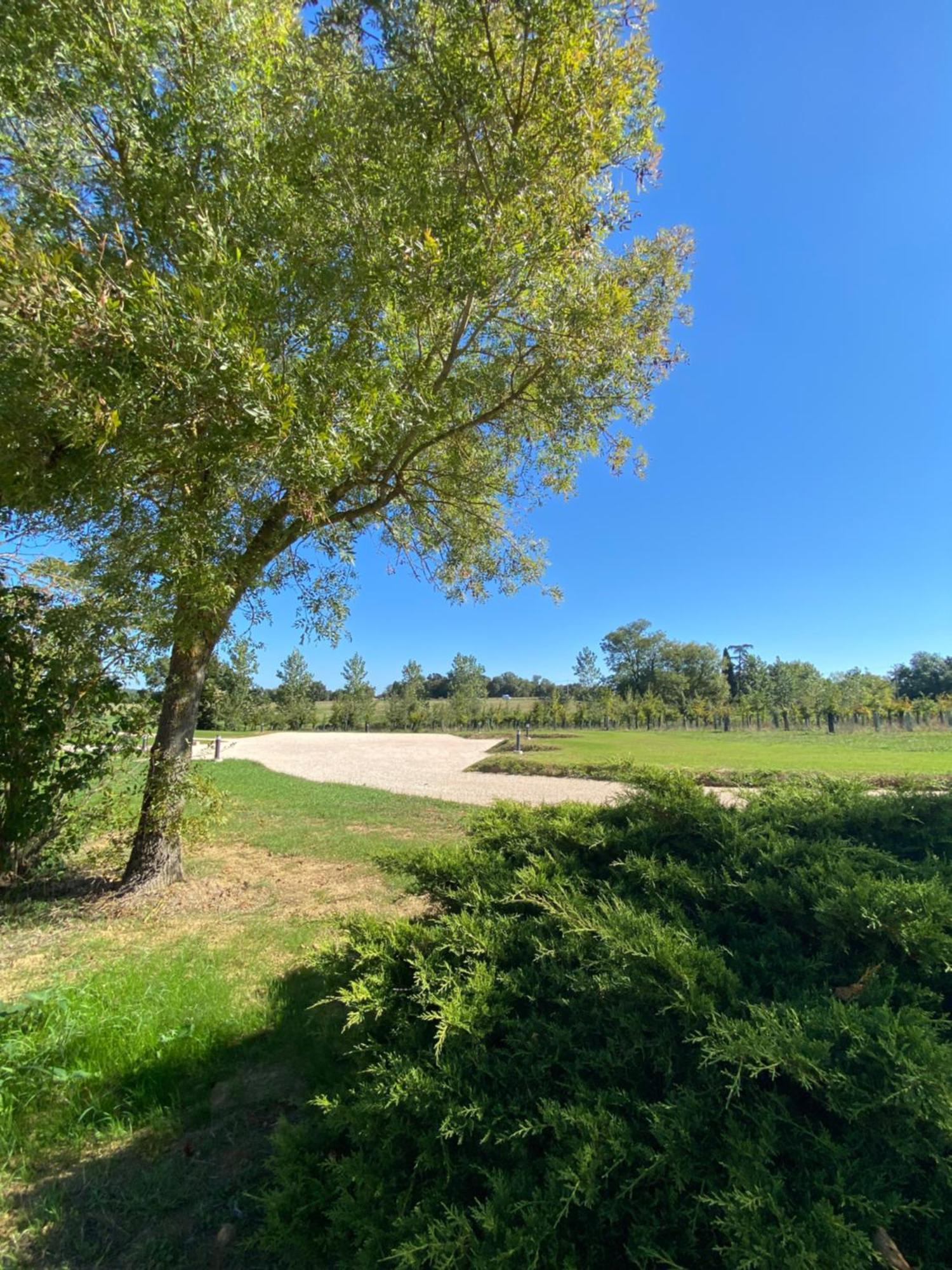 Gite Clara - Domaine Du Catalan Aubiet Extérieur photo